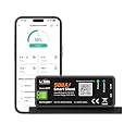 LiTime 500A Bluetooth Battery Monitor, 8V-120V Batteries Smart Shunt M8