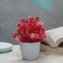Litleo Red Wild Flower Artificial Flower  with Pot (5 inch, Pack of 1, Flower with Basket)