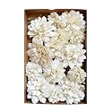 Little Birdie Artificial Flowers Handmade for Craft Celestina Shabby Chic- 20pc | Paper Flowers for Decoration Craft | Flowers for Home Decoration, Gift Wrapping,DIY Art Craft