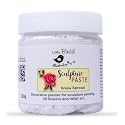 Little Birdie Sculpture Paste (160 gm, Snow Spread) | for Sculpture Painting, 3D and Relief Art | DIY Art and Craft