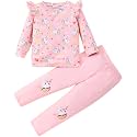 Little Girls 2 Piece Outfits Ruffle Sleeve Unicorn Sweatshirts Top and Leggings Set School Outfits Kids Clothing Set