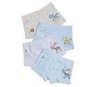 Little Swag Pack of Cotton Panties for