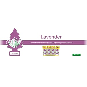 Little Trees Lavender Air Freshener Pack of