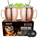 LIVEHITOP Moscow Mule Copper plated Mugs Set of 2, Copper Cups 19.5 Oz Cocktail Kit with Straw Coaster for Wine, Beer, Cold Drink, Bar, Party, Gifts