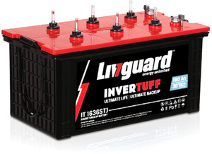 Livgaurd 48 Months Warranty Tubular Inverter Battery