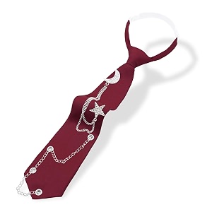 LJBFNN Pre-Tied Ties for Women with Metal