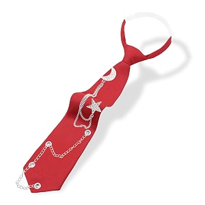 LJBFNN Pre-Tied Ties for Women with Metal