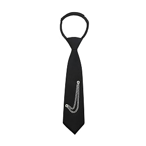 LJBFNN Pre-Tied Ties for Women with Metal