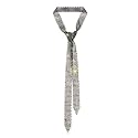 LJBFNN Ties for Women, Sparkling Rhinestone Womens Tie Long Thin Crystal Necktie for Party Prom Wedding Cosplay Beach Daily