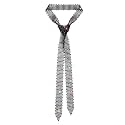 LJBFNN Ties for Women, Sparkling Rhinestone Womens Tie Long Thin Crystal Necktie for Party Prom Wedding Cosplay Beach Daily