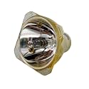 LMP-M130 is Suitable for Replacing Projector Lamps, Compatible with SONYVPD VPDMX10 Light Bulb(LMP-M130 CB)