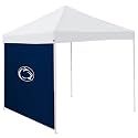 Logo Brands Officially Licensed NCAA Unisex 9 x 9 Side Panel, One Size, Team Color