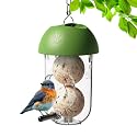 LONA Suet Ball Bird Feeder with 1 Port, Unique Bird Feeder for Outdoors