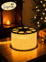 Longitude 2400 LEDs 20 m Gold Steady