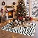 LOOBANI Waterproof Pet Blanket, Dog Christmas Blanket, 30"x40", Xmas Green