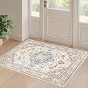 LOONGRUG 2x3 Rug Washable Vintage Boho Soft Rug for Entryway Beige Blue