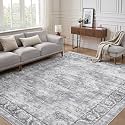 LOONGRUG 6x9 Area Rug Washable Vintage Boho Soft Living Room Rug Gray