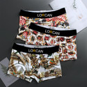 Lorcan Men Brief