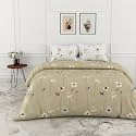 Loreto 100 Cotton Bed Sheet Double Bed
