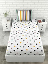 LORETO Cotton Single Flat 144 TC Polka