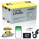 LOSSIGY 48 Volt Lithium Battery Golf Cart Conversion Kit with 18A Charger
