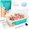 LotFancy 2.5 LBS Silica Gel Flower Drying, Reusable Color Indicating Silica Crystals with Airtight Container and Brush, DIY Wedding Bouquet Preservation Craft Kit