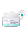 LOTUS DERMA BOTANICS Ampoule Creme Kojic AcidBerry