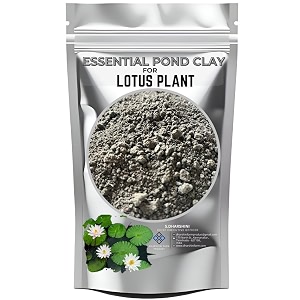 lotus plant essential dry pond clay  for large amount of flower blooming enhancement  natural pond clay for stunning lotus gardens 3 kg