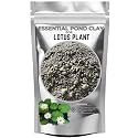 Lotus Plant Essential Dry Pond Clay | for Large Amount of Flower Blooming Enhancement | Natural Pond Clay for Stunning Lotus Gardens (3 KG)