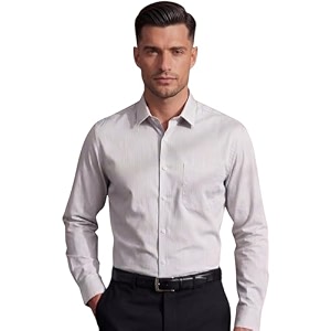 Louis Philippe Mens Cotton Striped Regular Fit