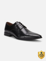 LOUIS PHILIPPE Premium Leather Breathable Anti-Slip with