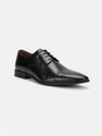 LOUIS PHILIPPE Premium Leather Breathable Anti-Slip with