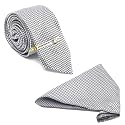 LOUIS STITCH Mens Iris Purple Italian Silk Necktie Set Incl Pocket Square Cufflinks Gold Tiepin Brooch American Style Formal Tie Gift Set for Men (TEPR010GP)