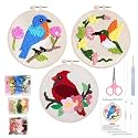 Louise Maelys 3 Sets Beginners Punch Needle kit,Embroidery Starter Kits for Adults,Rug Cross Stitch Tool Including Handle Pen-Cardinal and Hummingbird Pattern