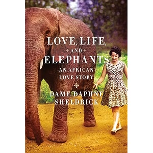 love life and elephants an african love story