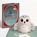 Lovepop Harry Potter™ Hedwig™ Pop-Up Birthday &amp; Everyday Card with Note