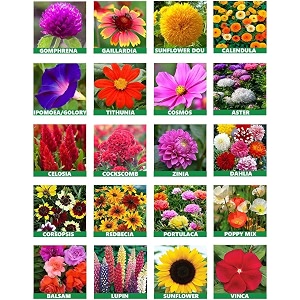 low maintenance hybrid flower seeds combo pack- all year flower seeds supply 15 varieties