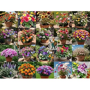 low maintenance hybrid flower seeds combo pack- all year flower seeds supply 20 varieties