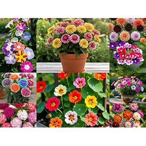 low maintenance hybrid flower seeds combo pack- all year flower seeds supply 10 varieties
