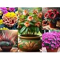 Low Maintenance Hybrid Flower Seeds Combo Pack- All Year Flower Seeds Supply (WINTER SEASON COMBO)