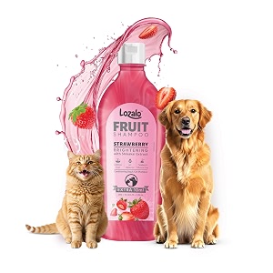lozalo fruit pet shampoo 200 ml strawberry controls bad odour amp keep pets calm ph balanced paraben free conditioning shampoo for dogs amp cats of all breeds brightening with shikakai extract