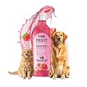 Lozalo Fruit Pet Shampoo 200 ml, Strawberry, Controls Bad Odour &amp; Keep Pets Calm pH Balanced, Paraben Free Conditioning Shampoo for Dogs &amp; Cats of All Breeds, Brightening with Shikakai Extract