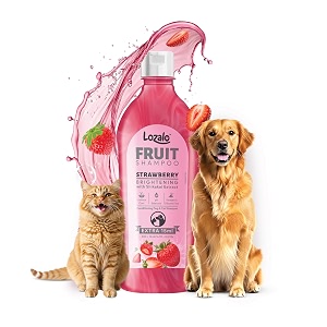 lozalo fruit pet shampoo 500 ml strawberry ph balanced paraben free conditioning shampoo for dogs amp cats of all breeds natural shampoo brightening with shikakai extract