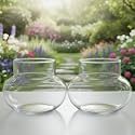 Lucky Bamboo Glass Pot 4 Inch Transparent Round Planter for Indoor Plant Decor