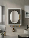 Lufasa Plastic Bathroom Mirror Cabinet with Storage