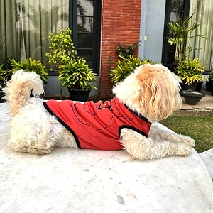 lulala pet shirts printed puppy shirts cute dog sleeveless dog sweatshirts soft summer pet clothing breathable apparel outfits for dogs amp cats rust 10 inch - 70 g
