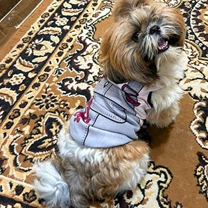 lulala dog printed t-shirts clothes vest puppy costumes cool puppy t-shirts breathable dog outfit soft clothes for dog and catpink 24 inch