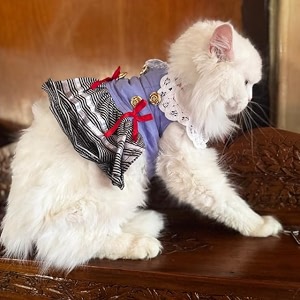 lulala pet cloth cute pet sundress ribber work pet princess dress puppy summer apparel clothes pet skirt shirt with ruffles lace on collar for small pets14 inchlight blue