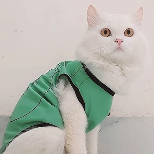 lulala polyester cute puppy shirts - soft breathable dog clothing for summer - sleeveless dog sweatshirts in parrot green 14 inch