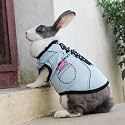 Lulala Pet Shirts Printed Puppy Shirts Cute Dog Shirts Sleeveless Dog Sweatshirts Soft Summer Pet Dog Clothing Breathable Pet Apparel Dog Outfits For Dogs &amp; Cats (Sky Blue, 20 Inch), 1 Count